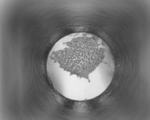 X0000058780469200510282015