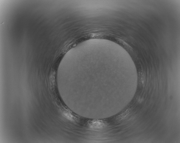 X0000058780475200510282016