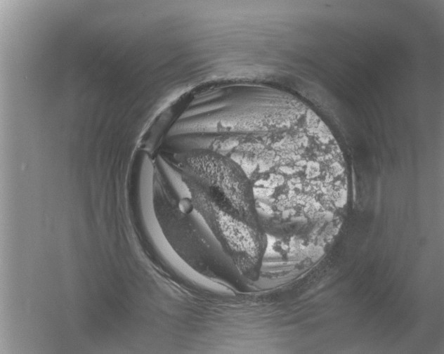 X0000058780483200510282015