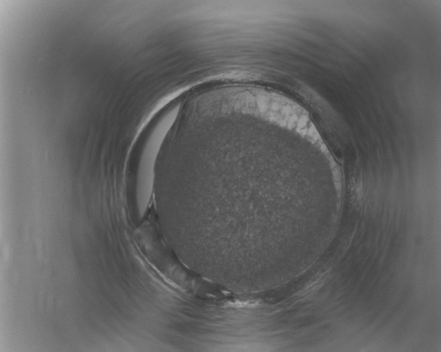 X0000058780484200510282015