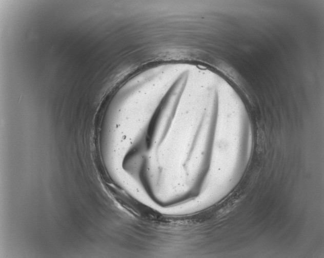 X0000058780485200510282015