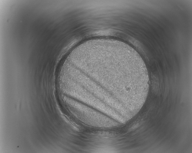 X0000058780486200510282015