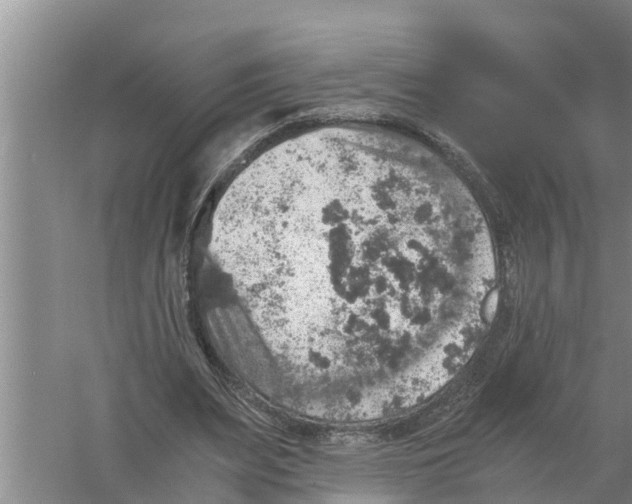 X0000058780487200510282015