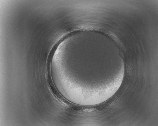 X0000058780488200510282015