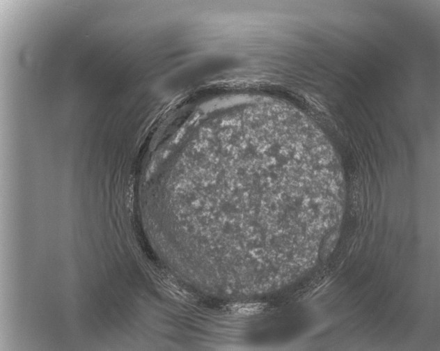 X0000058780495200510282015