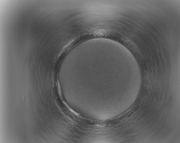 X0000058780496200510282015