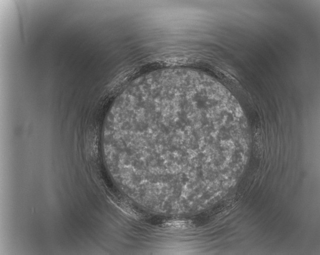 X0000058780499200510282015