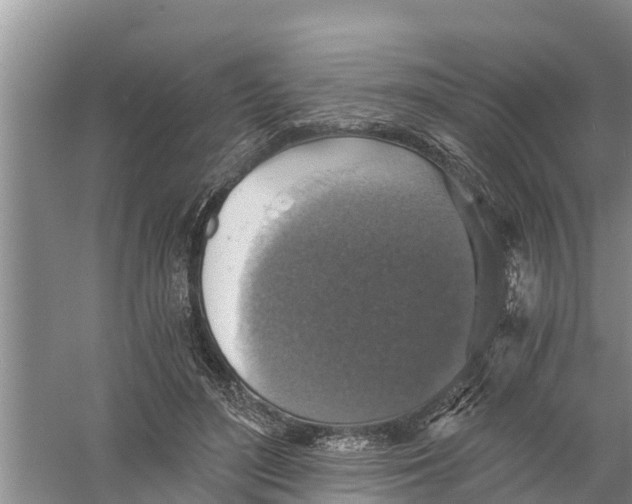 X0000058780500200510282014