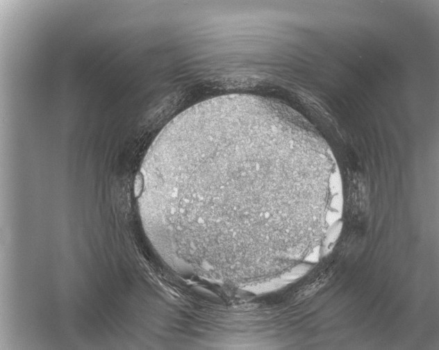 X0000058780501200510282014