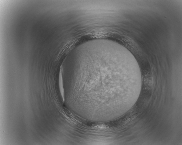 X0000058780503200510282014