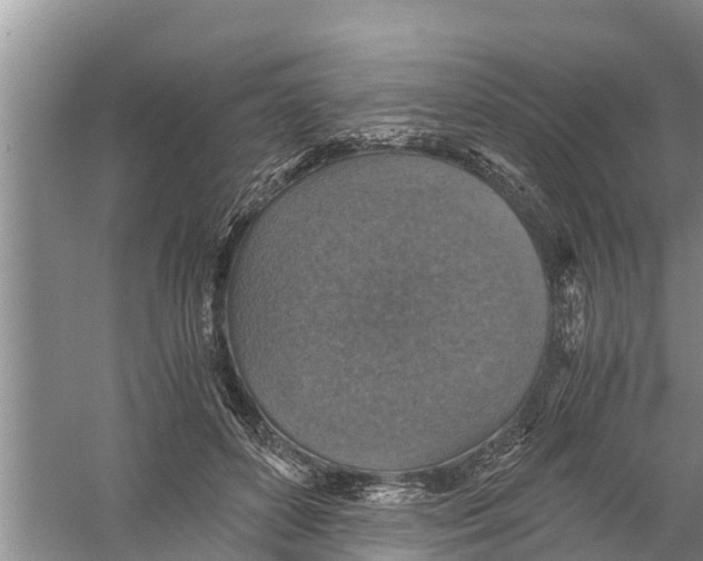 X0000058780504200510282014