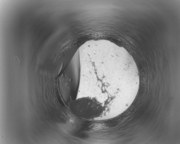 X0000058780507200510282014