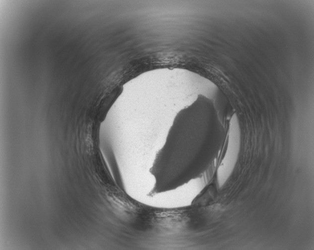 X0000058780516200510282014