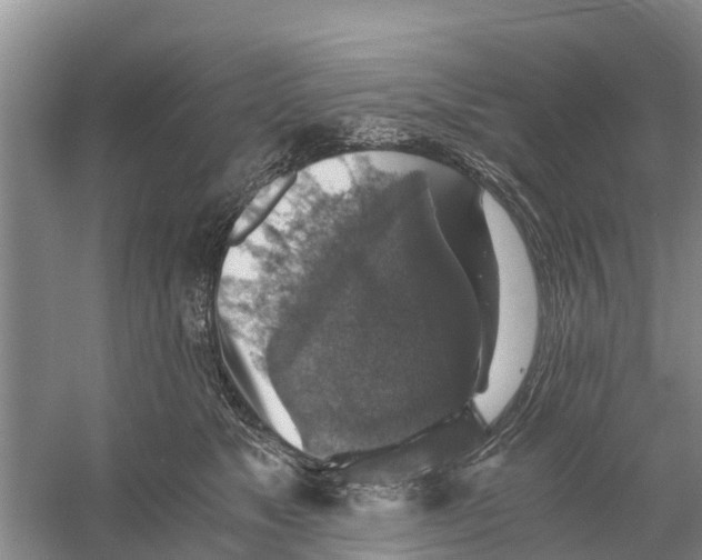 X0000058780517200510282014