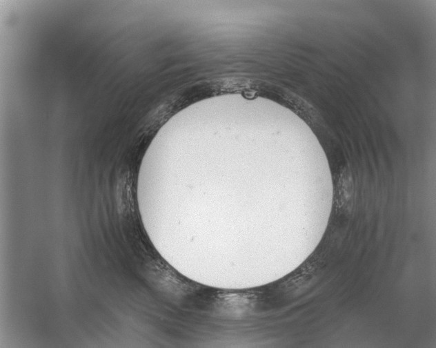 X0000058780522200510282014