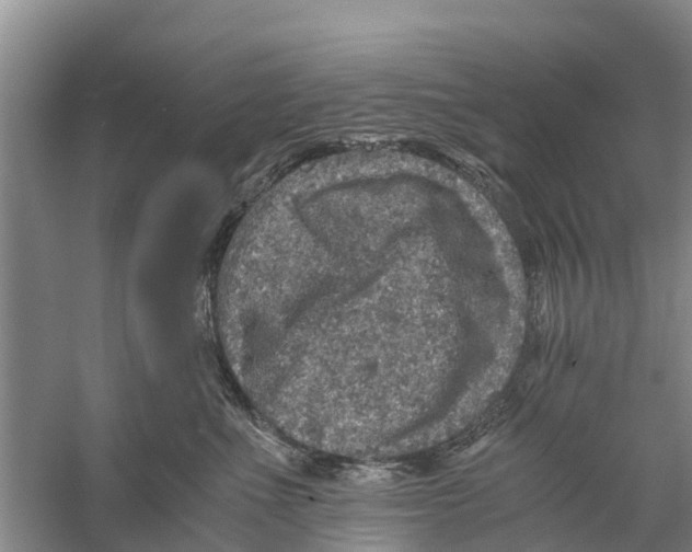 X0000058780523200510282014