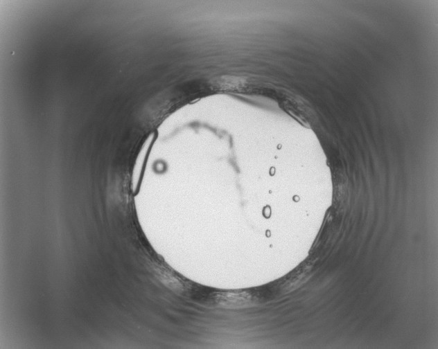 X0000058780525200510282014