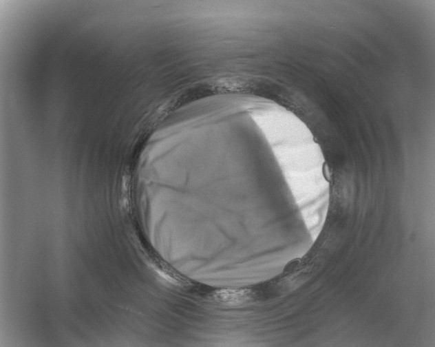 X0000058780526200510282014