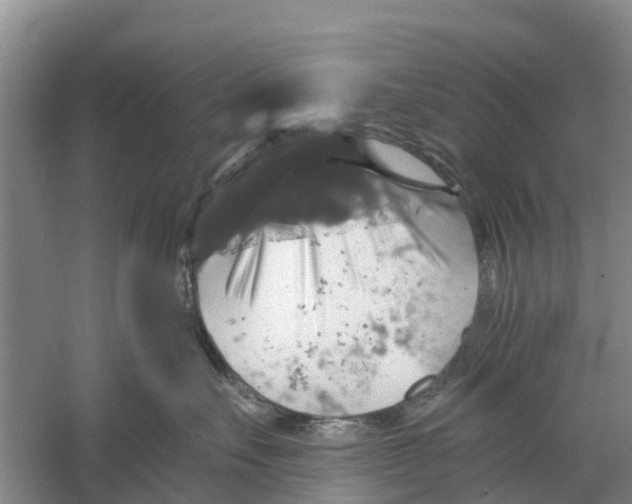 X0000058780527200510282014