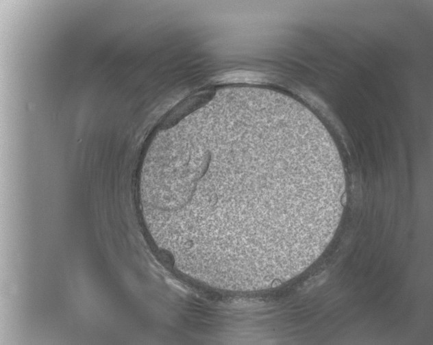 X0000058780529200510282013