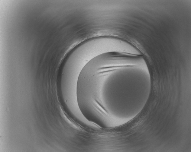 X0000058780530200510282013