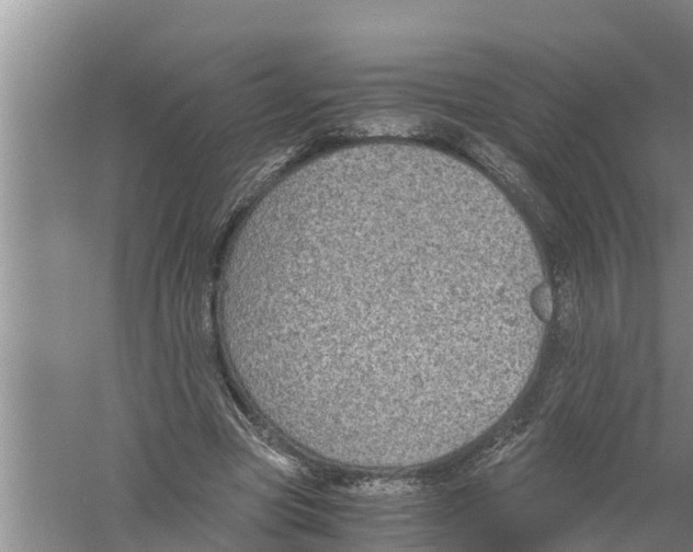 X0000058780537200510282013