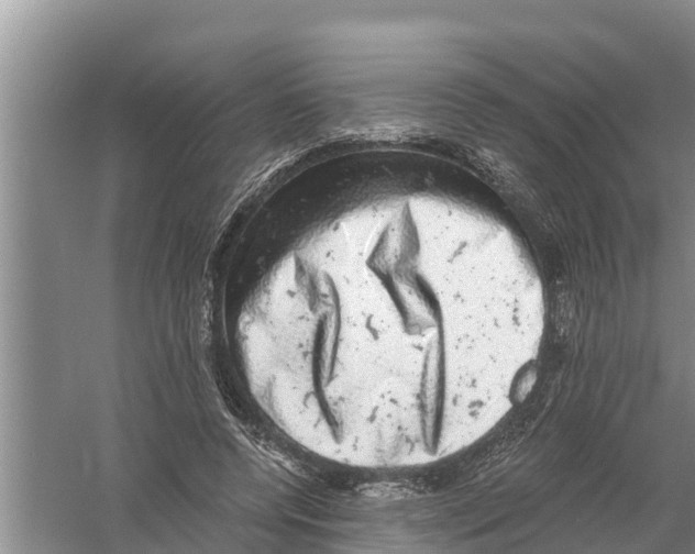 X0000058780544200510282013