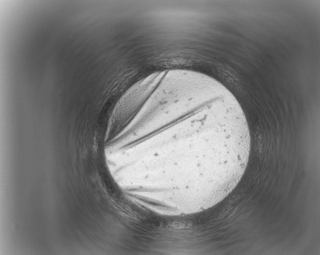 X0000058780546200510282013