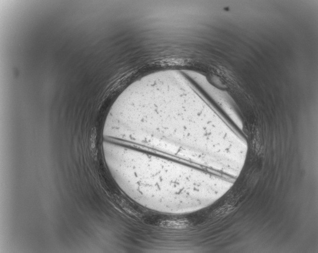 X0000058780548200510282014