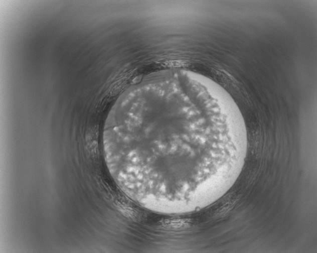 X0000058780553200510282014