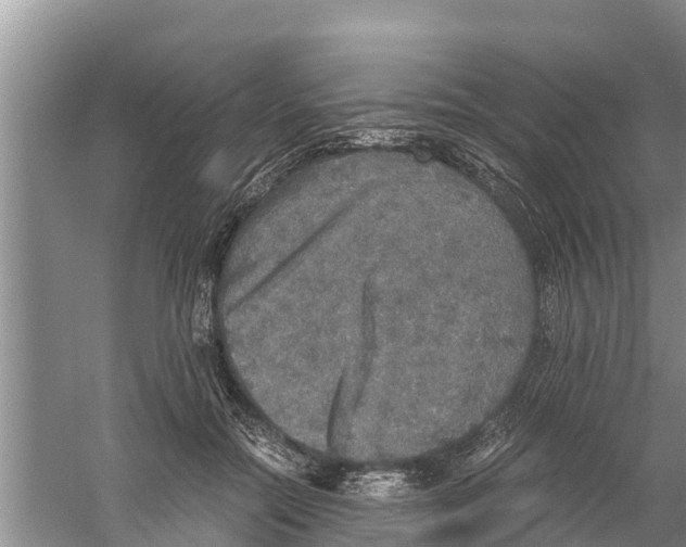 X0000058780554200510282014