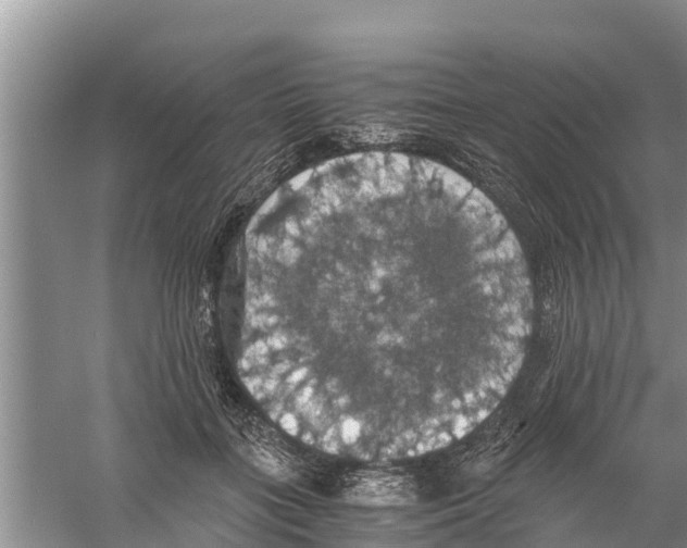 X0000058780555200510282014