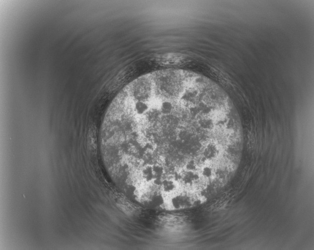 X0000058780561200510282014