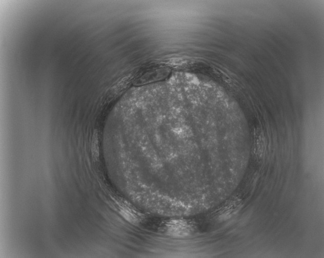 X0000058780562200510282014