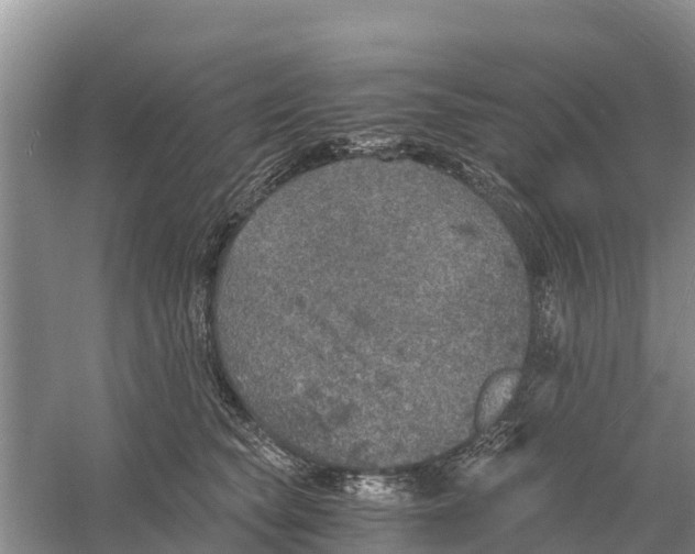 X0000058780565200510282014