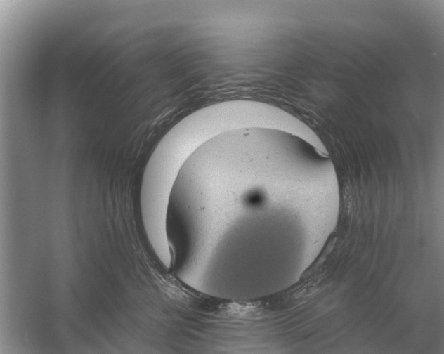 X0000058780570200510282014