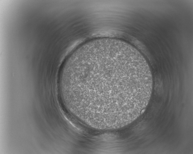 X0000058780578200510282013