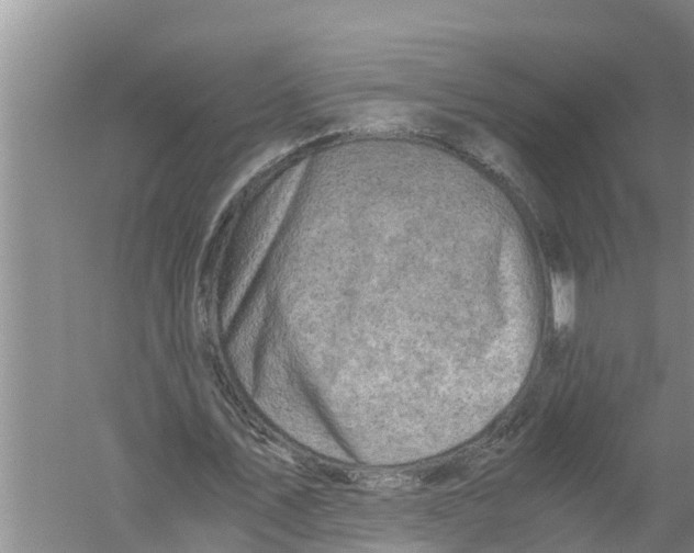 X0000058780579200510282013