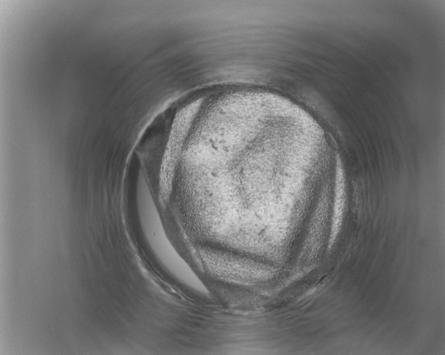 X0000058780580200510282013