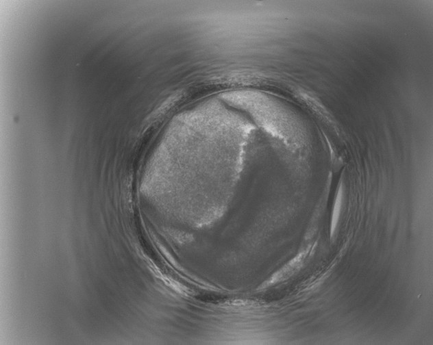 X0000058780585200510282013