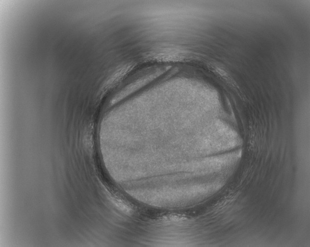 X0000058780586200510282013