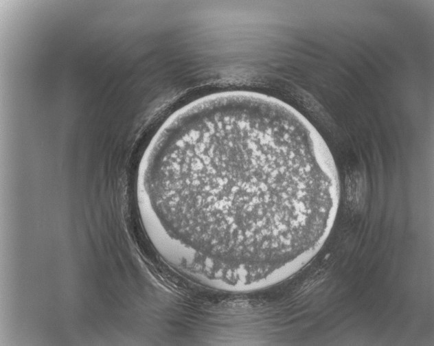 X0000058780588200510282013