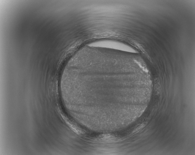 X0000058780589200510282013