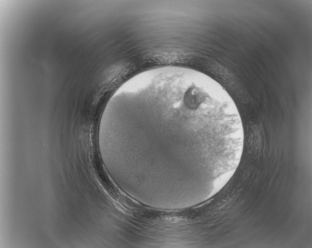 X0000058780590200510282013