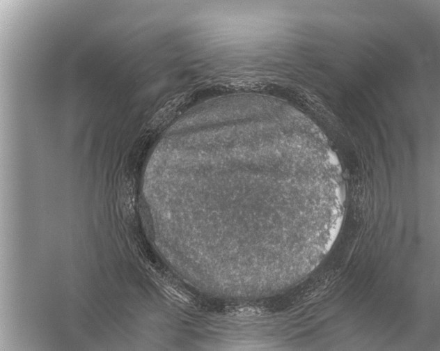 X0000058780593200510282013