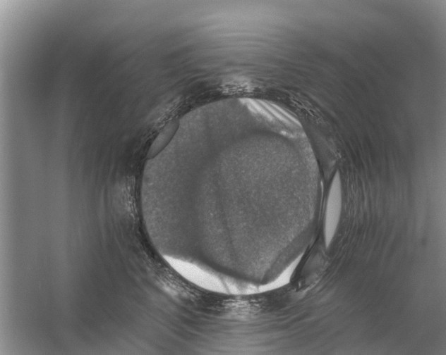 X0000058780616200510282013