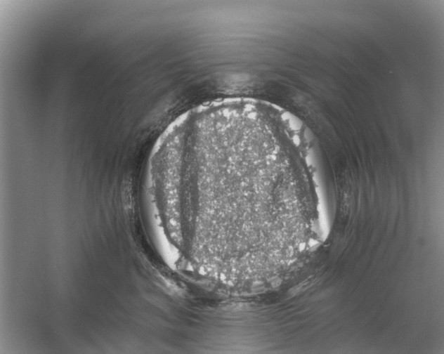 X0000058780620200510282012