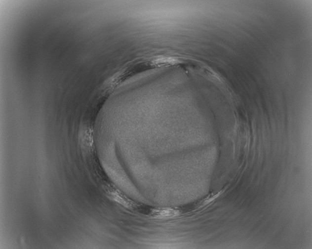 X0000058780621200510282012