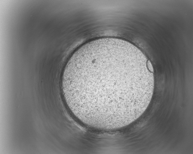 X0000058780625200510282012