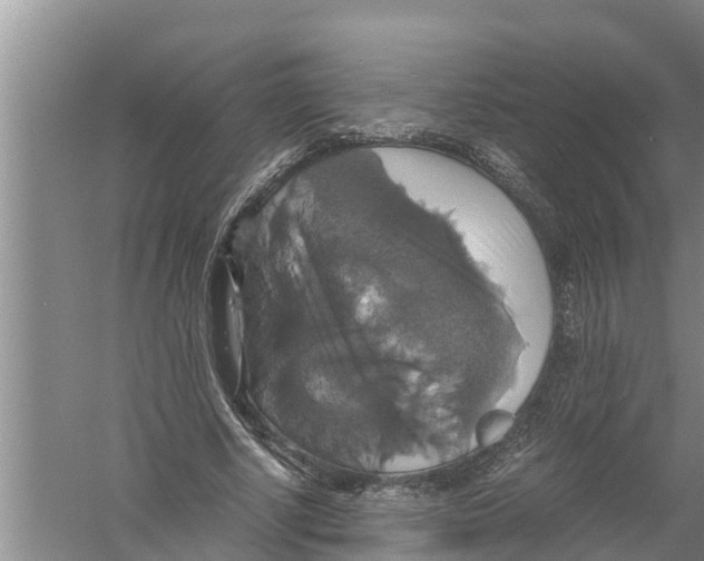 X0000058780634200510282012